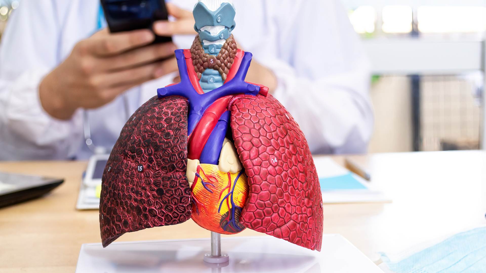 Enfermedad Pulmonar