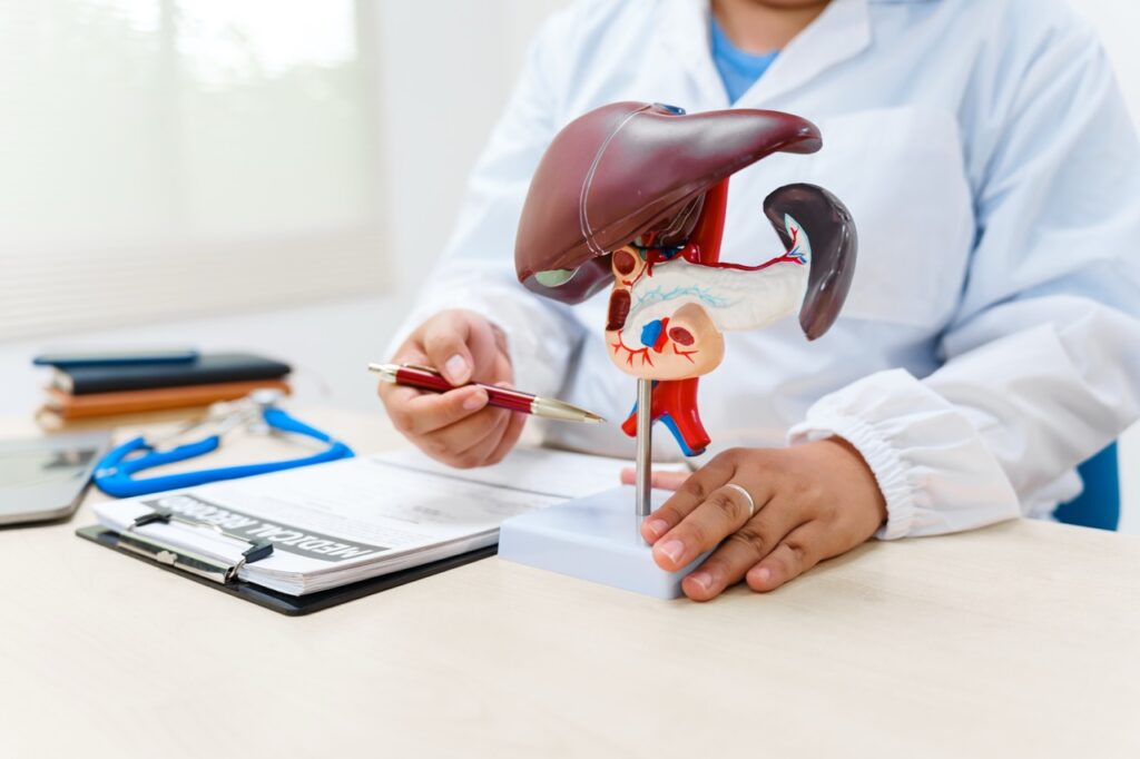 ¿Hepatitis B, Por Qué Vacunarse? 1 a liver doctor examines a model of the liver on d 2025 03 08 22 33 07 utc Large