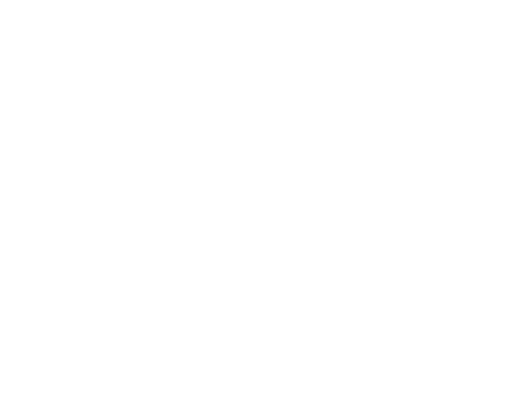 ma2026 ida logo white